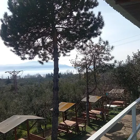 Ilica Anatolia Keramet Boyalica