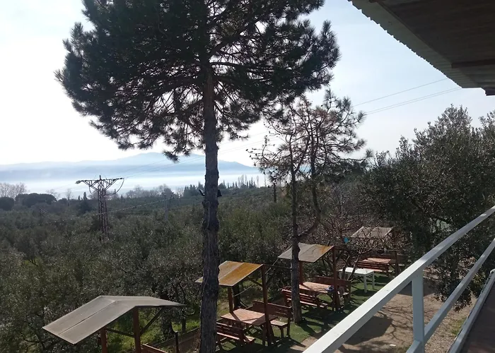 Ilica Anatolia Keramet Boyalica