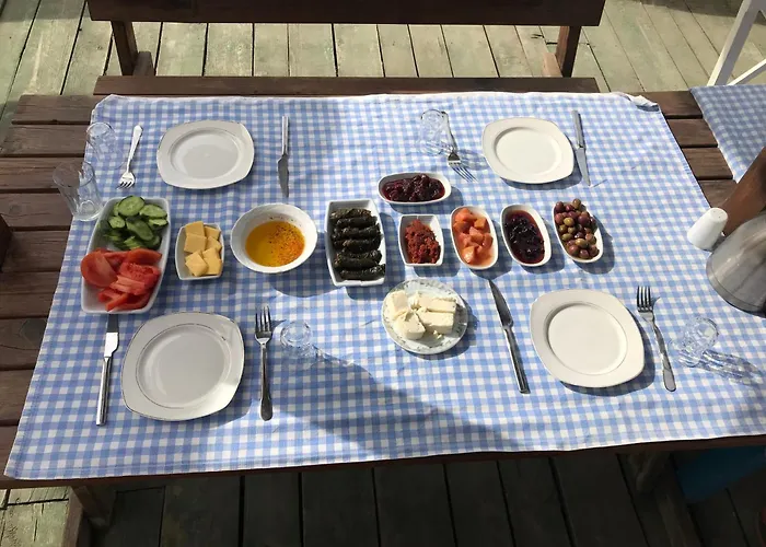 Ilica Anatolia Keramet Boyalıca